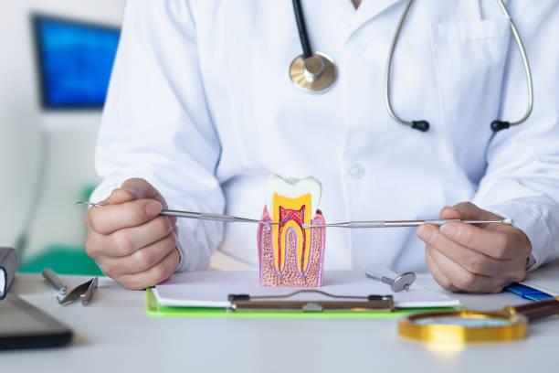 Best Emergency Root Canal Treatment in Elk Point, SD